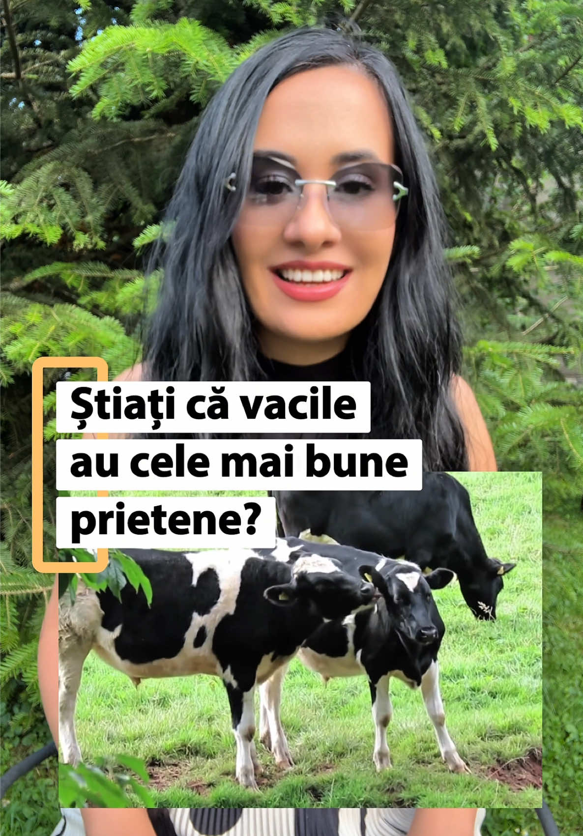 @Dr. Nicola Ioana
