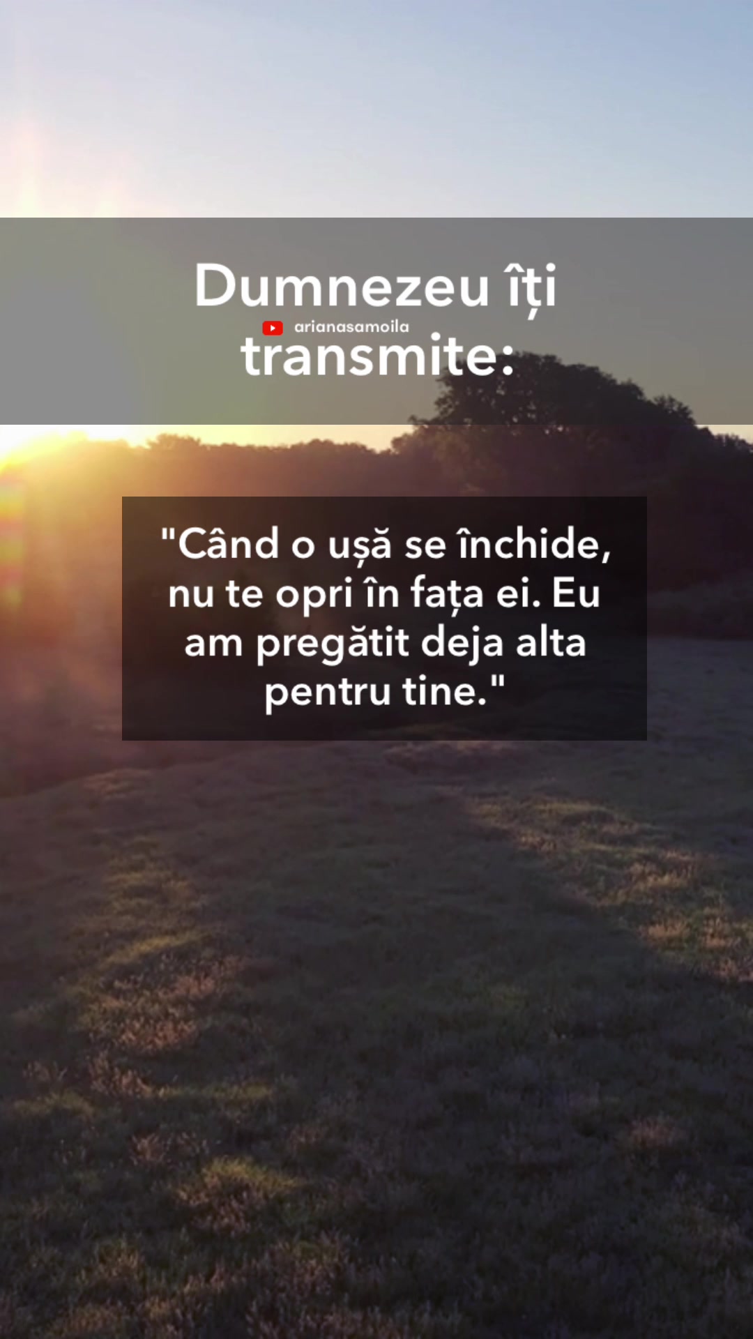 @Ariana Samoilă