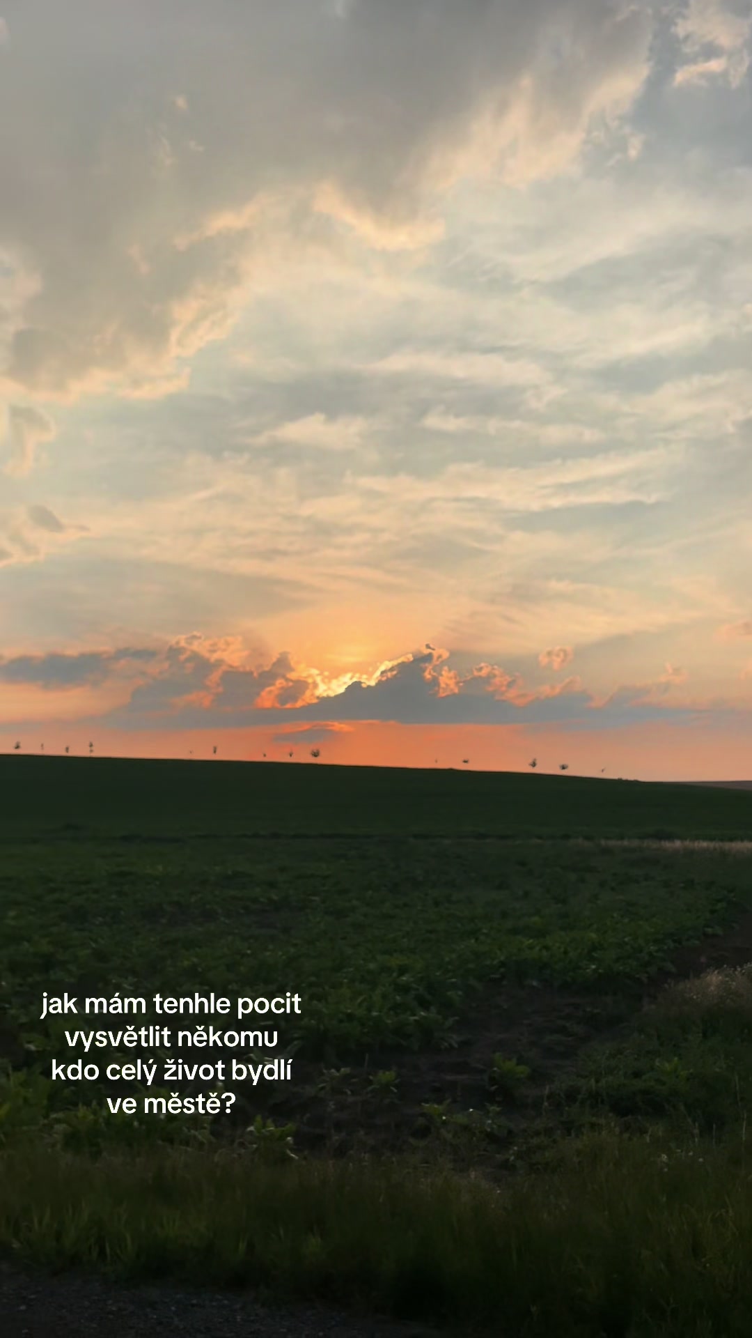 @ℬ𝒶𝓇𝓊💫