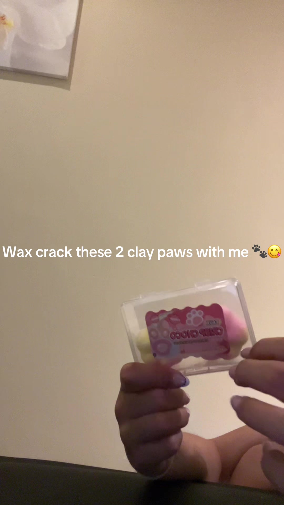 @LIL’S VLOGS