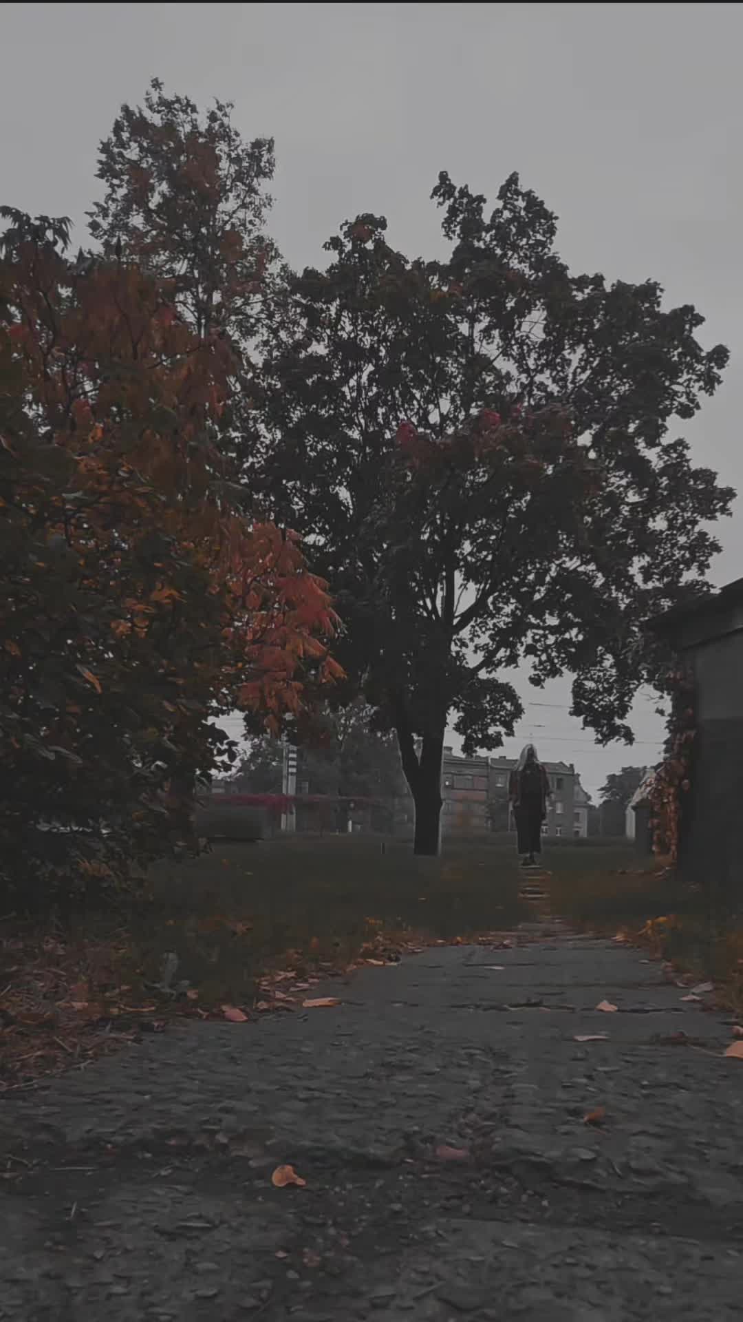 @Marika 🖤