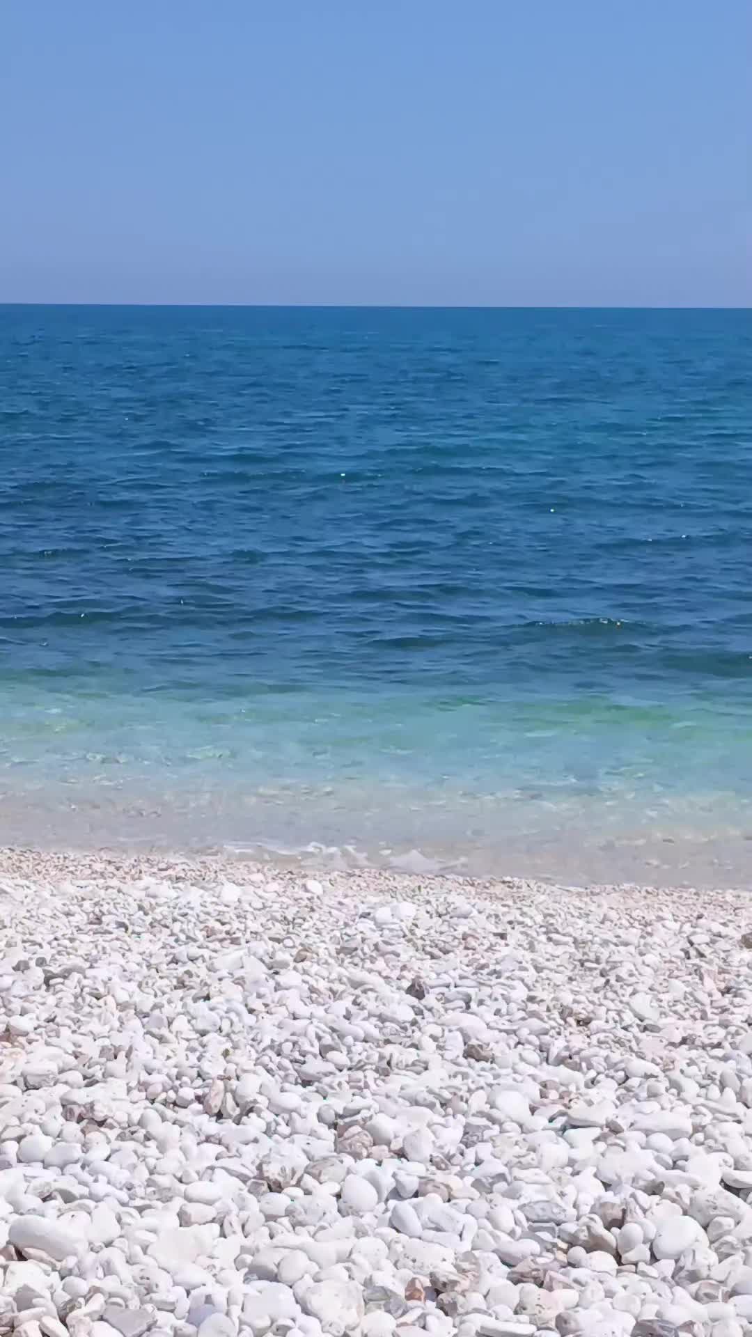 @Lunetta