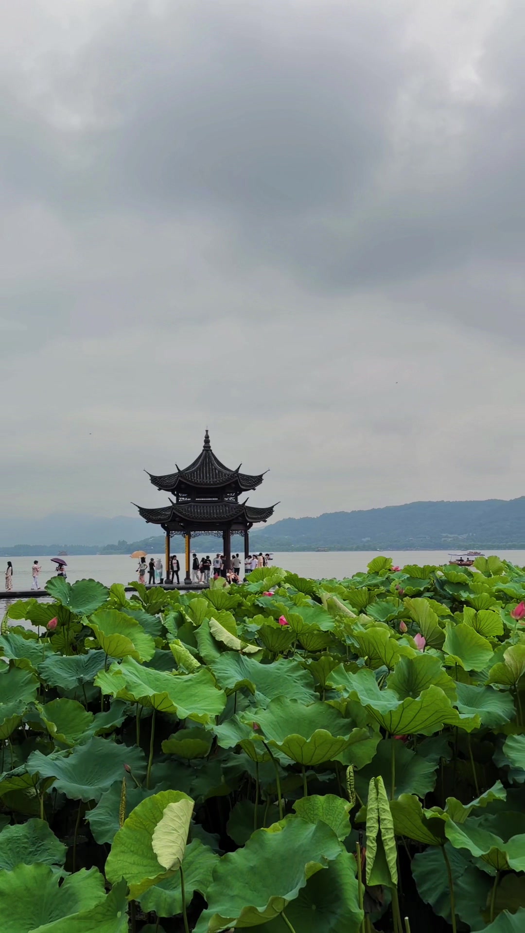 @金丽阳