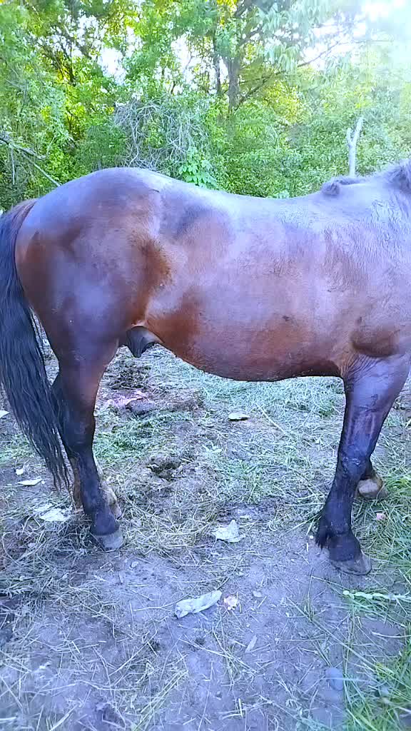 @Dan Dan Bobadieru