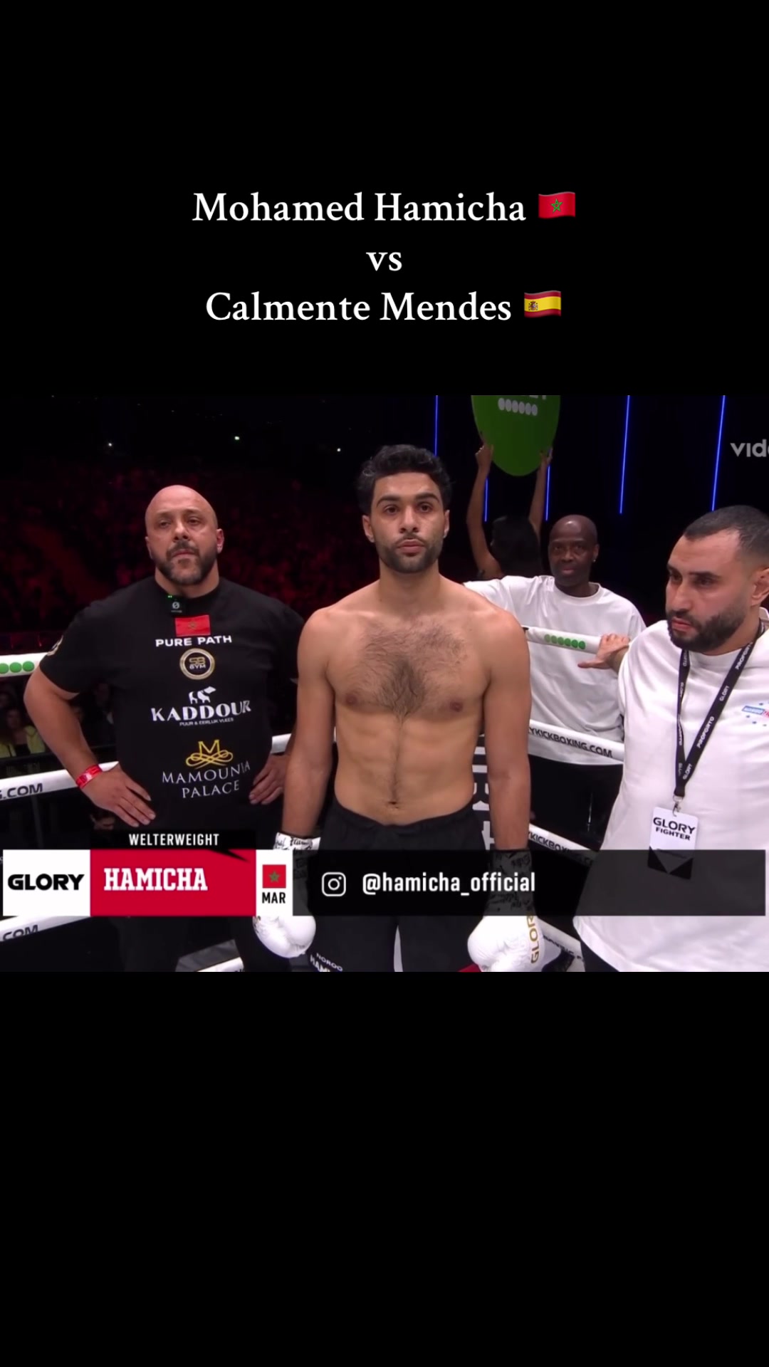 @Mocrofighters
