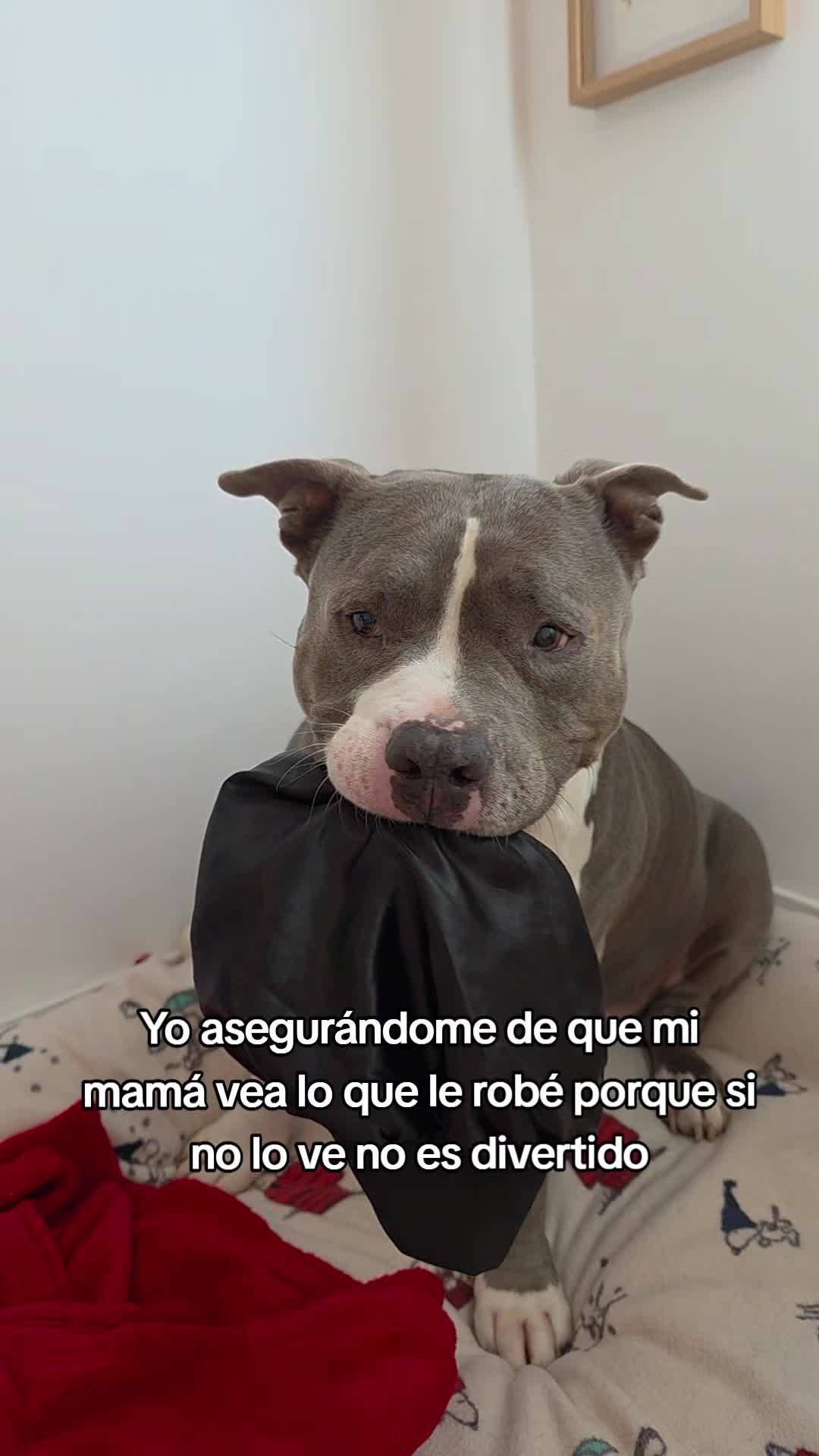 @Kenya y Daddy🐶