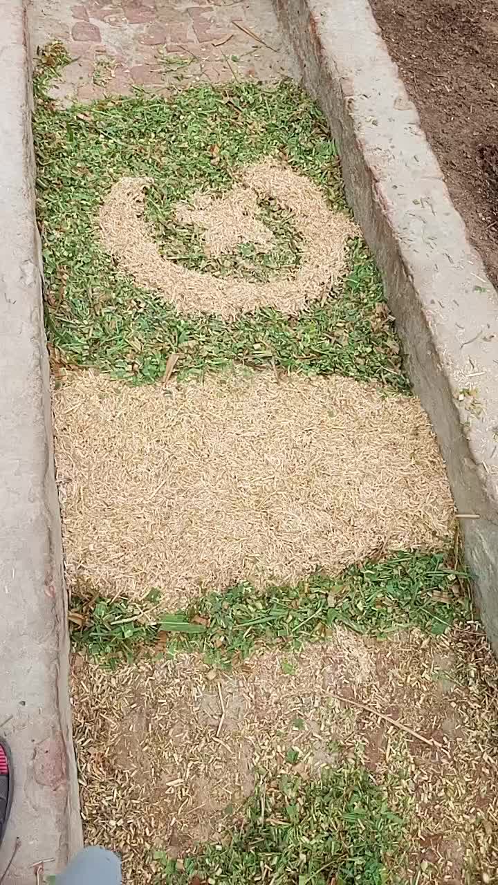 @Bilalh87