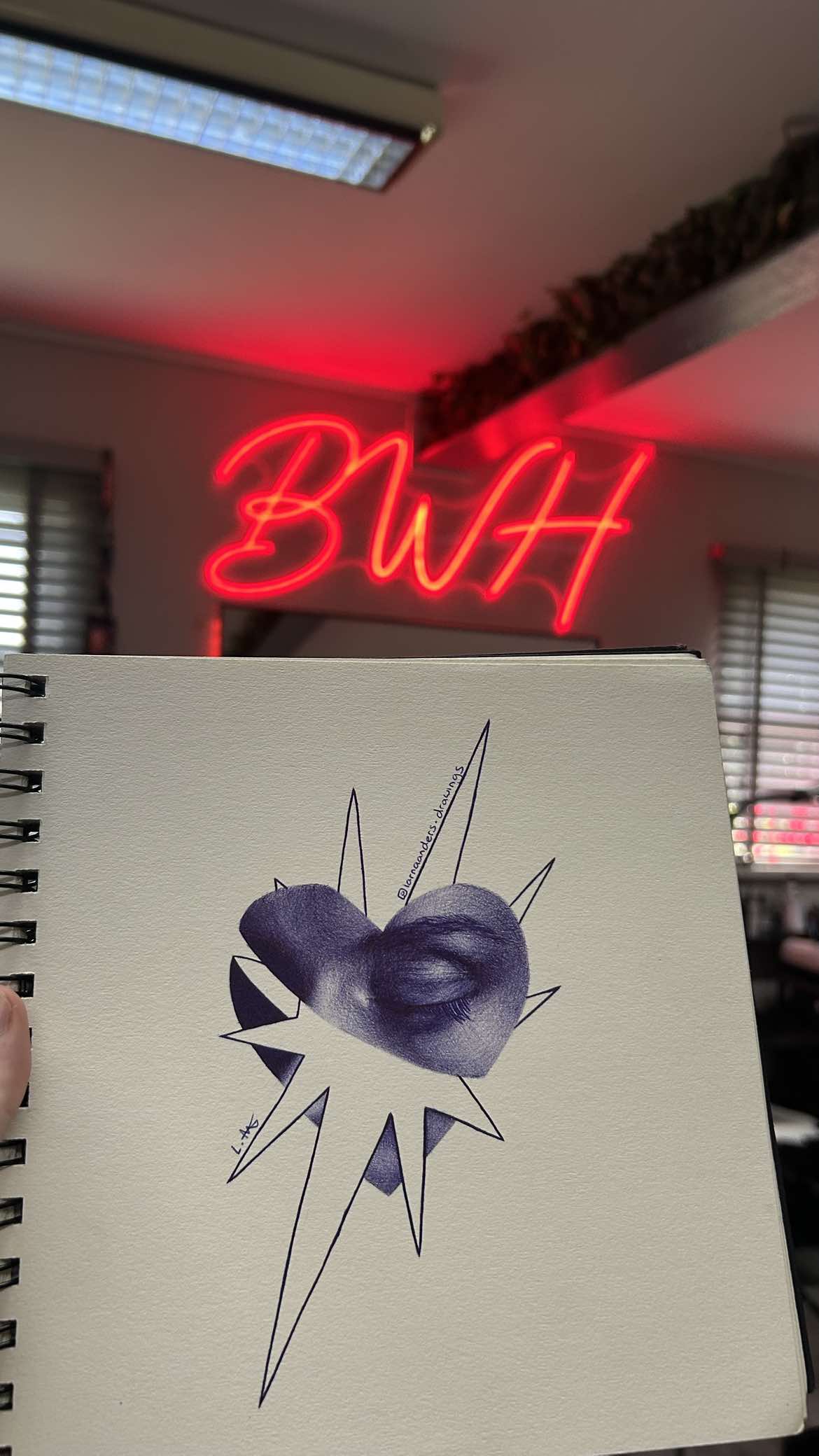 @LarnaAndersDraws