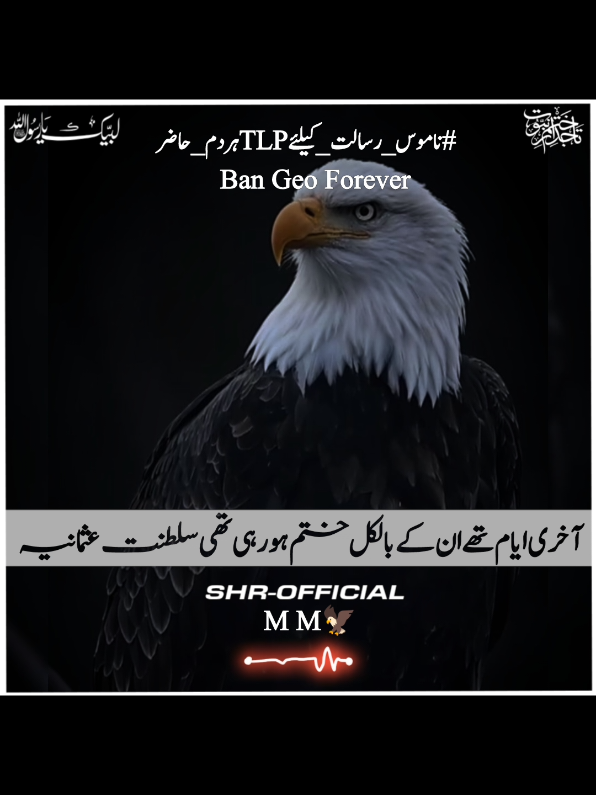 @SHR - OFFICIAL