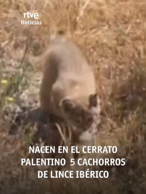 @RTVE Noticias