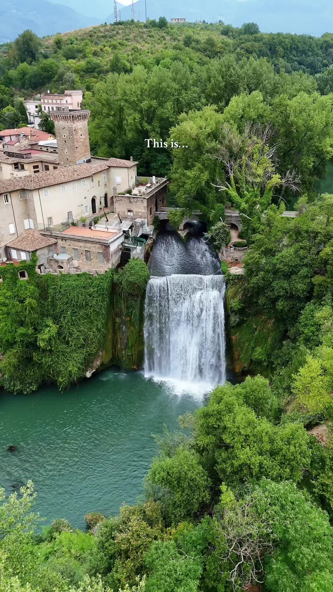 @coppiaecaneinfuga
