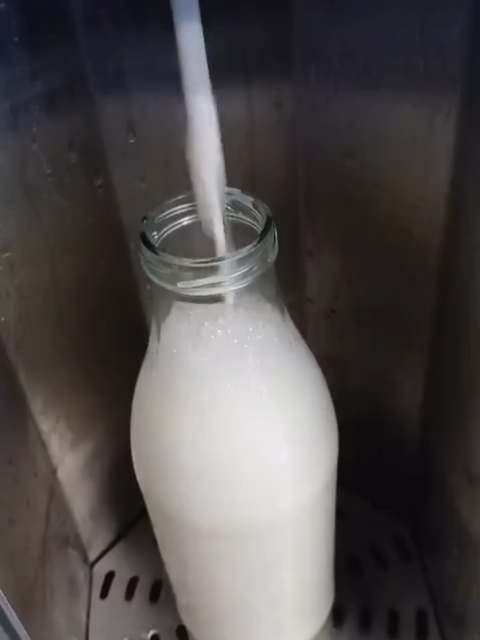 @Raw_milk_enjoyer_141