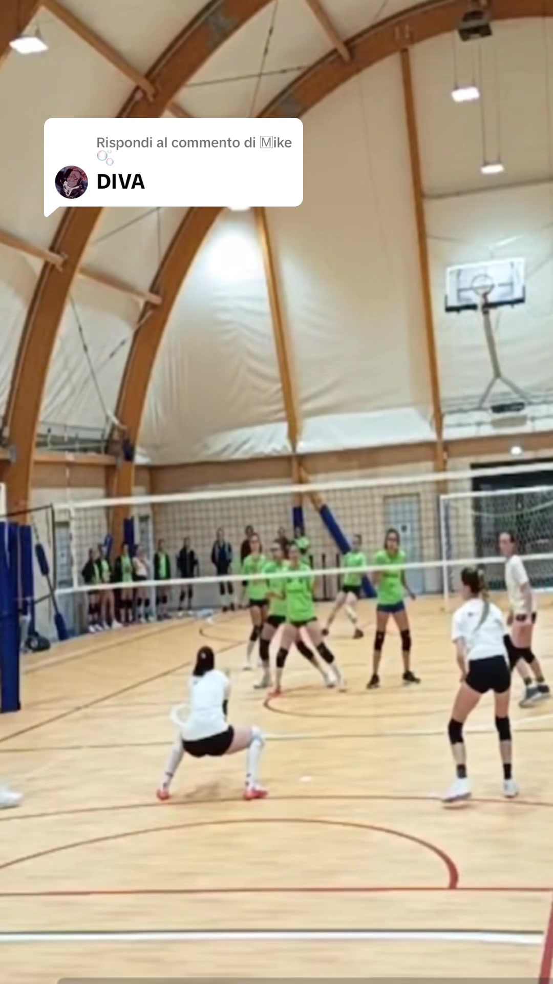 @Majestic Volley