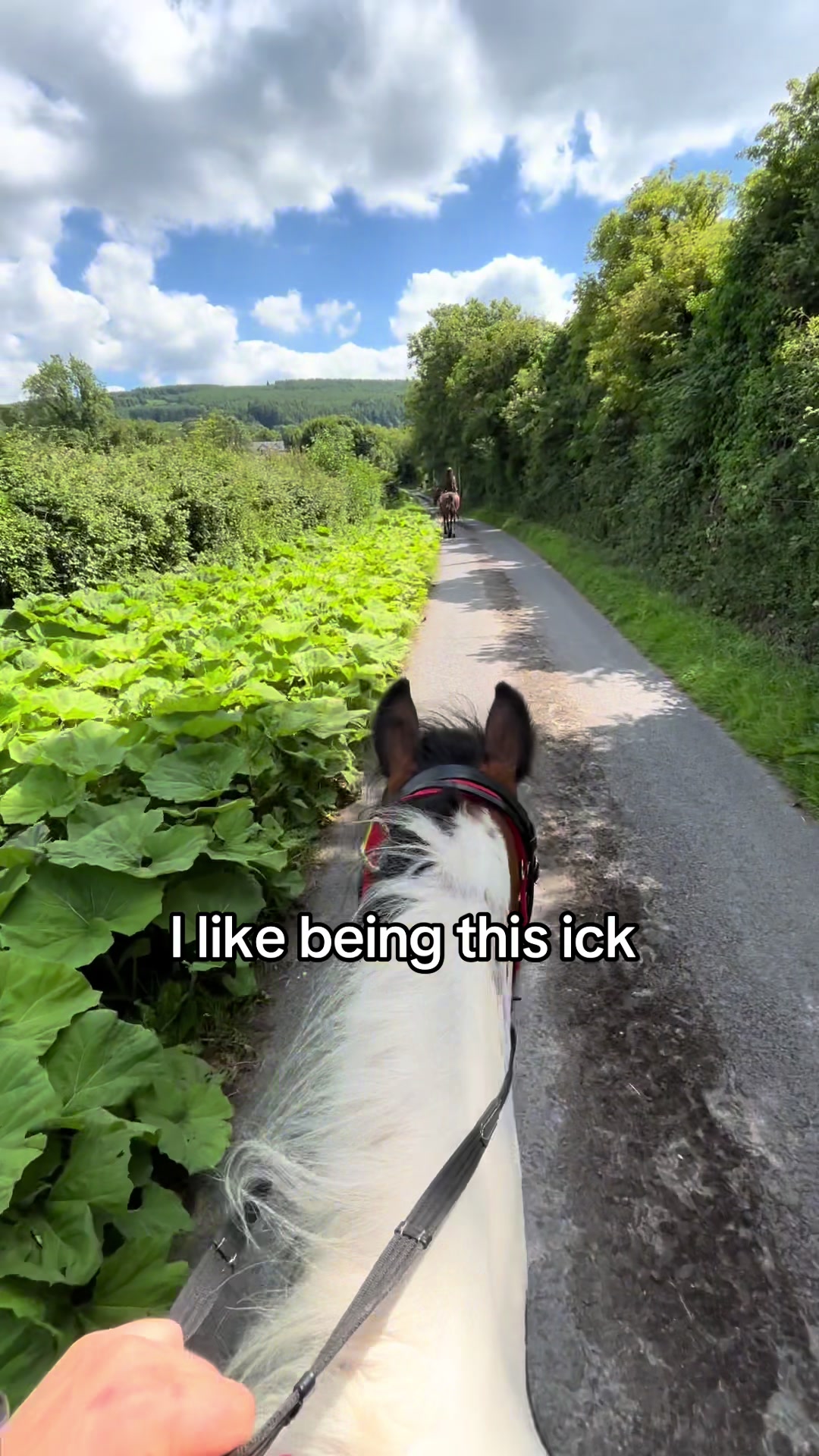 @Kerrie Byrne