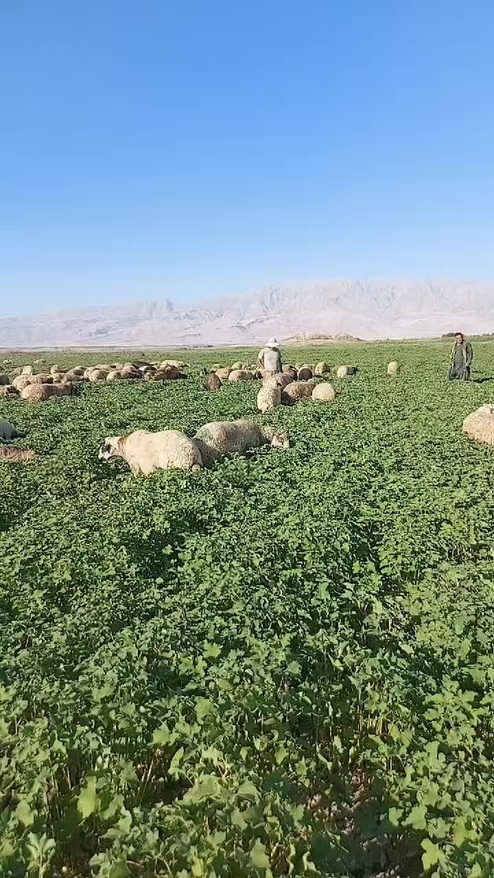 @TAHER KOLNADAR