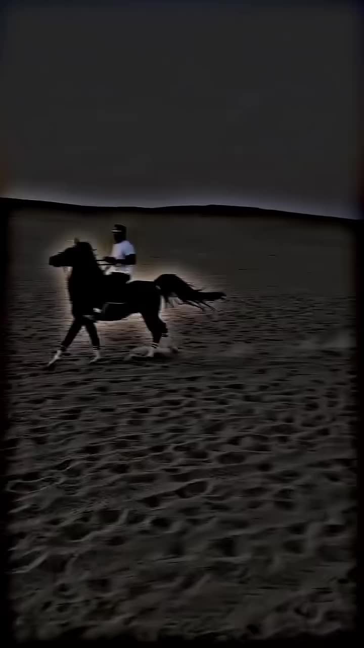 @⫸𝙈𝙞𝙍𝙯𝘼✫𝙎𝙖𝙍𝙆𝙖𝙍✫⫷