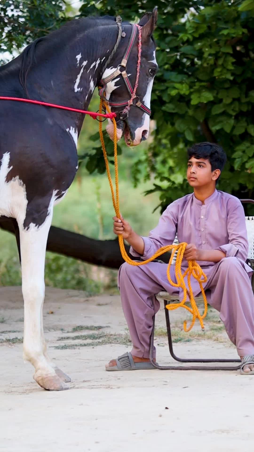 @Malik Ali Abbas Saggu🔥