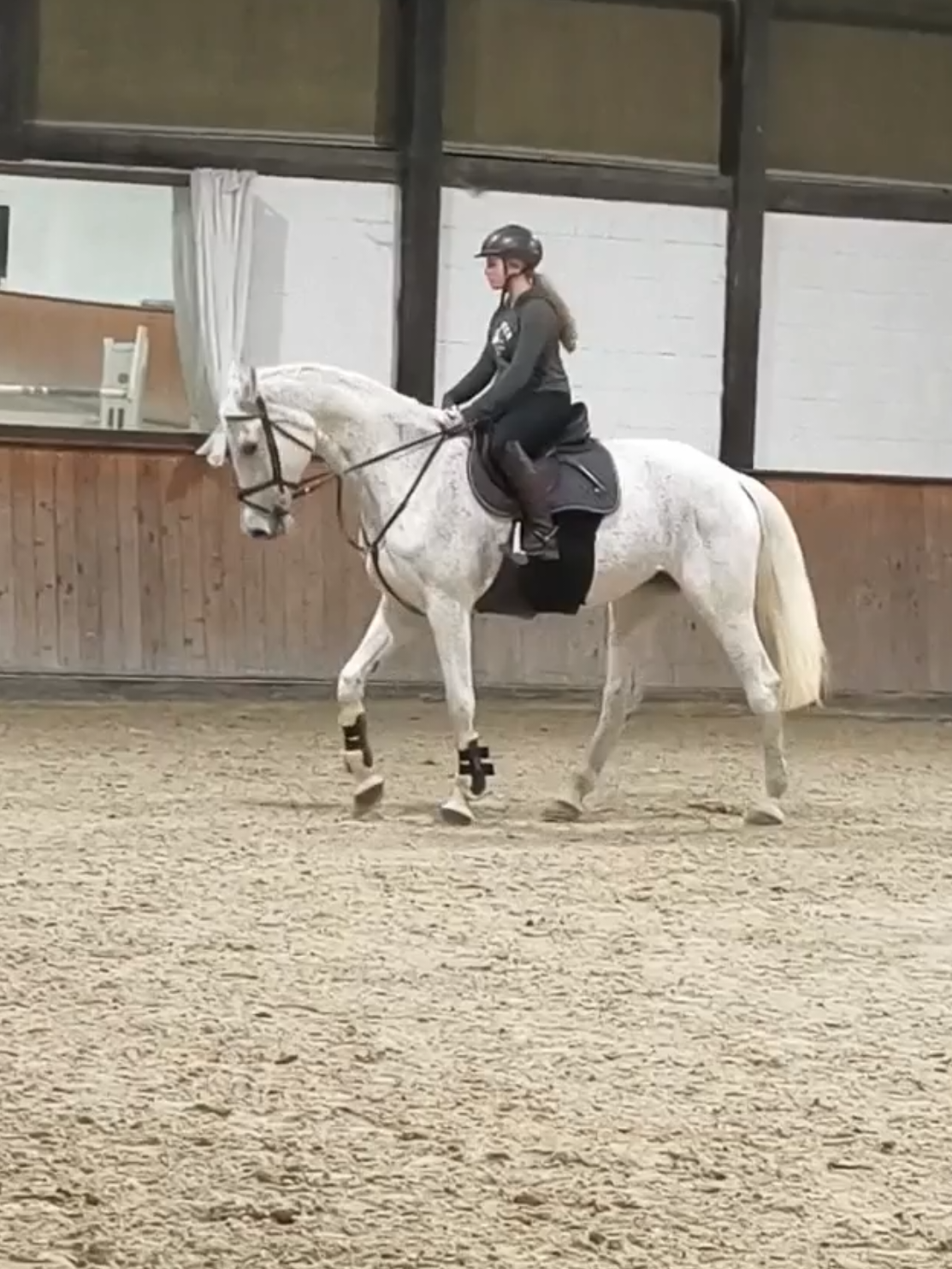 @Spring"Pony"Casha