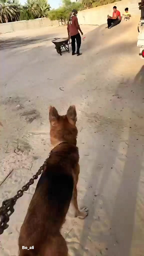 @بوعلي(عاشق السفر)✈️