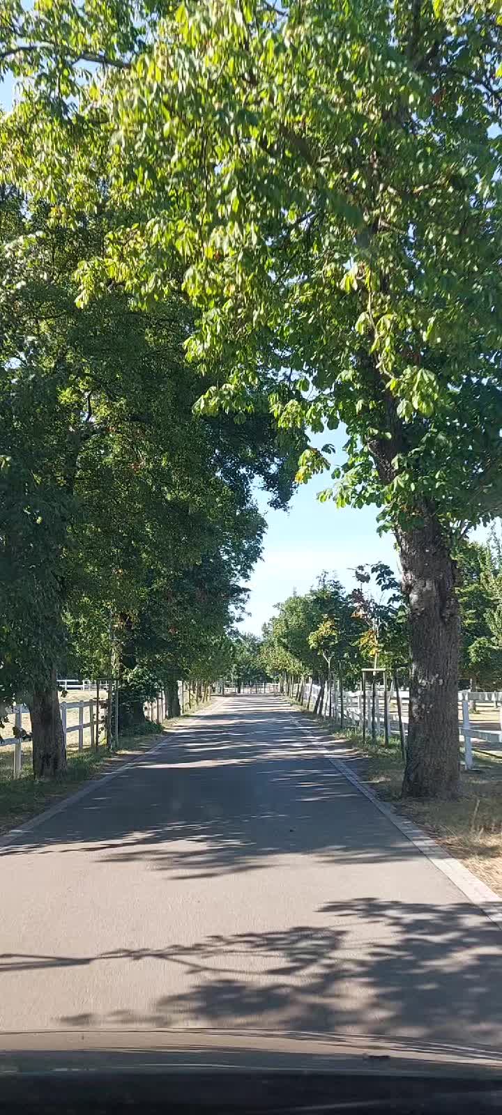 @Mirza.c