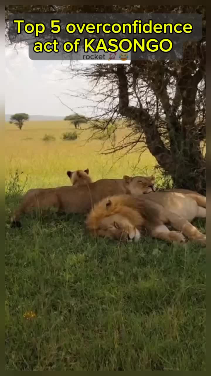 @Lifes in Nature