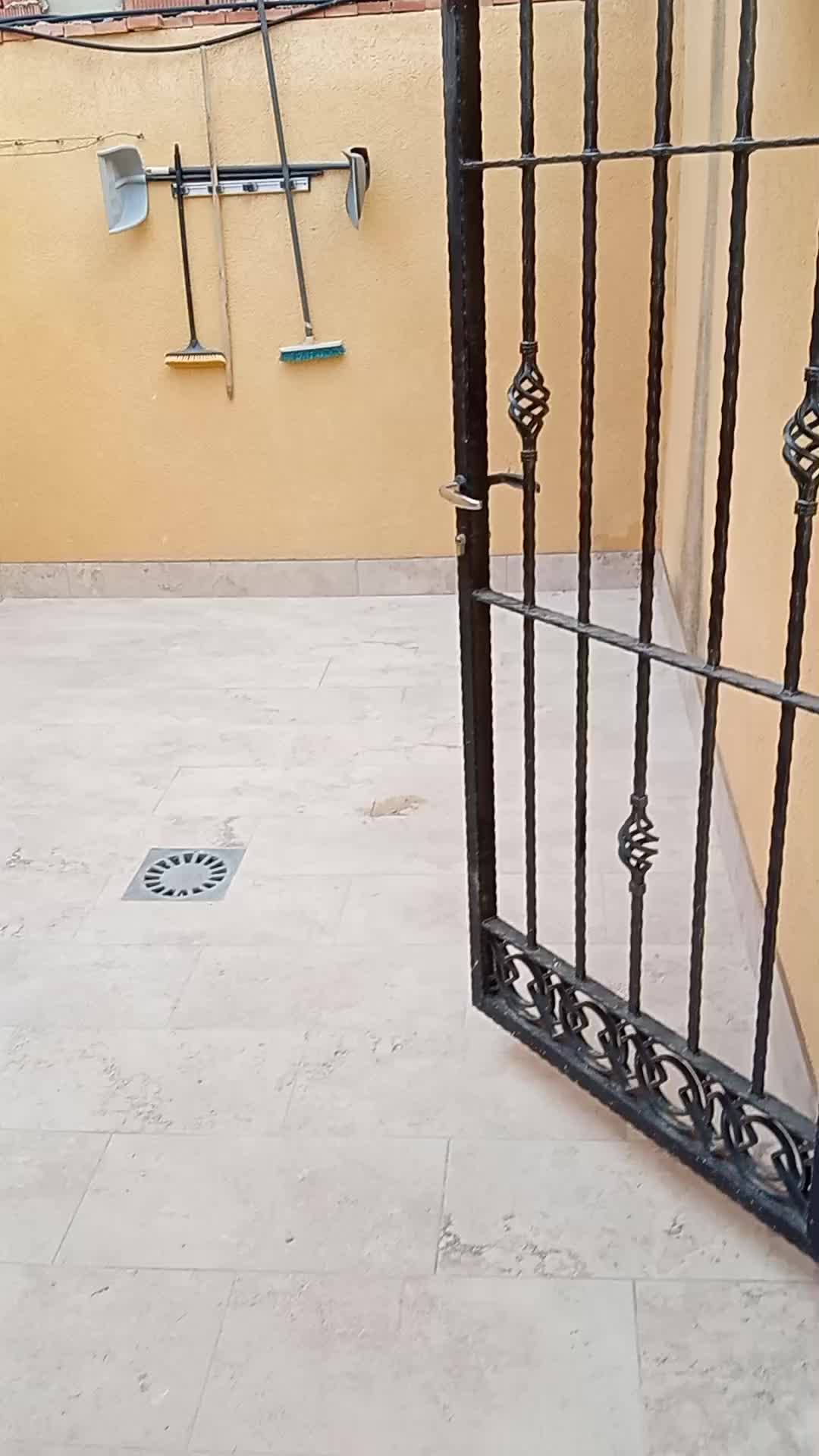 @phypes y mas