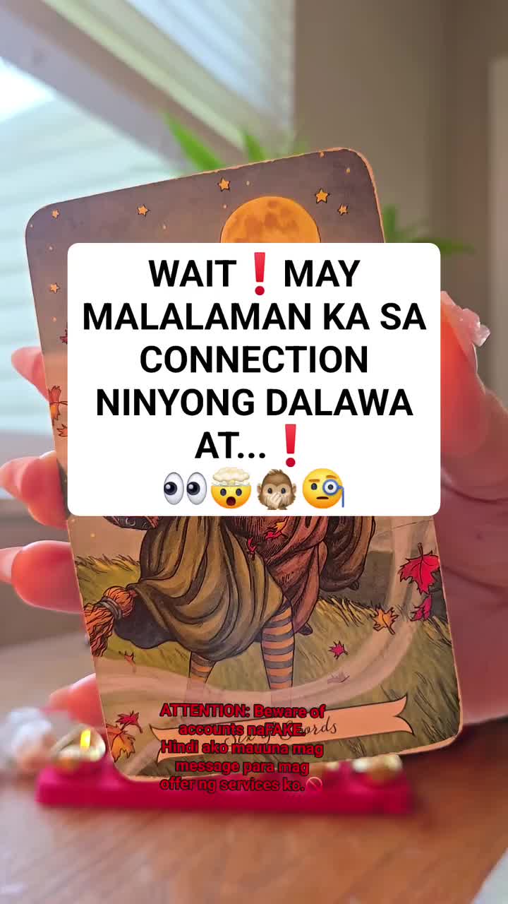 @thetarotreader11.11