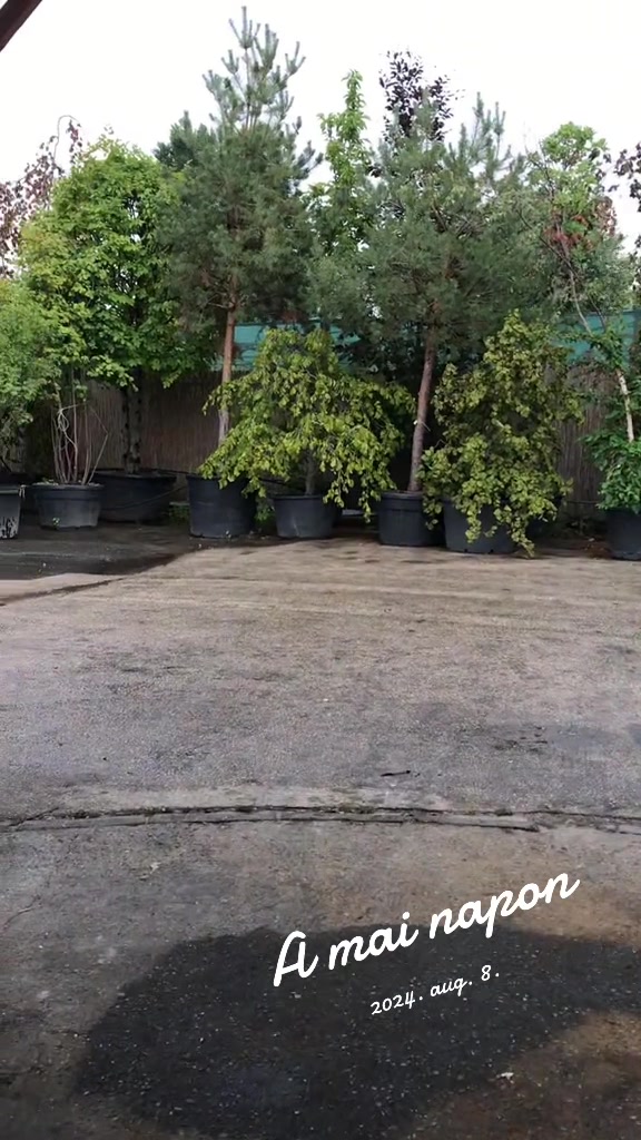 @Zlantosz Fémipar Kft