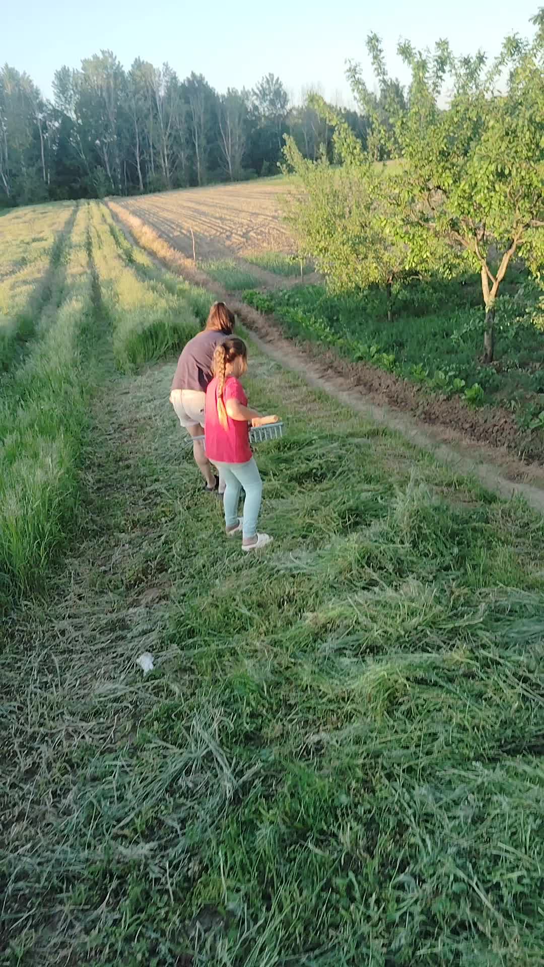 @Ionuț Iordache449