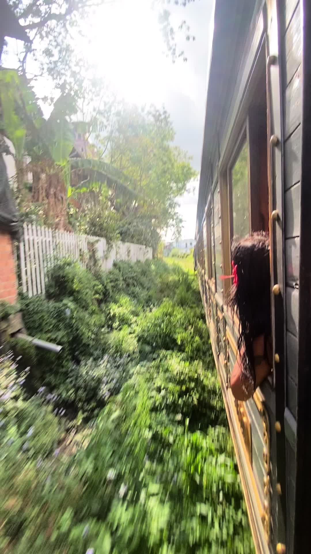 @🐯