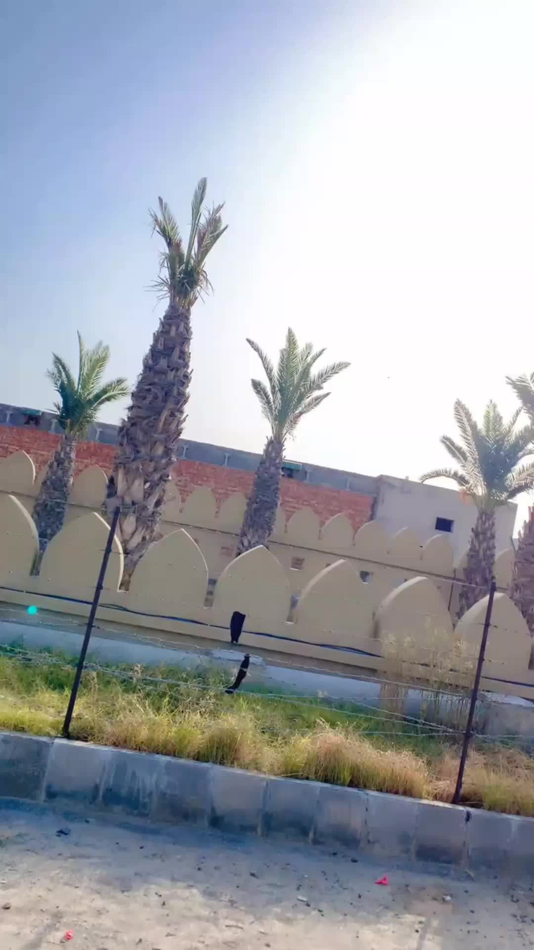 @ZAIBII CHATTHA 😎🥰🥰