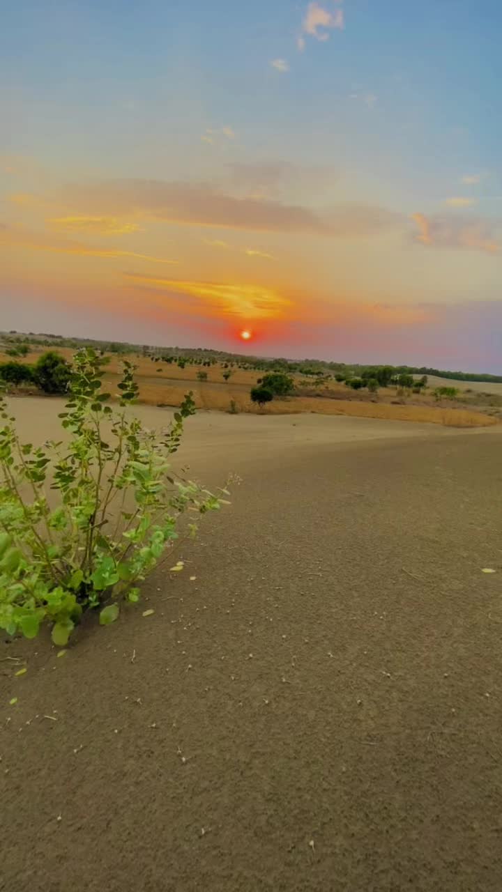 @شیرگڑھ تھل💫