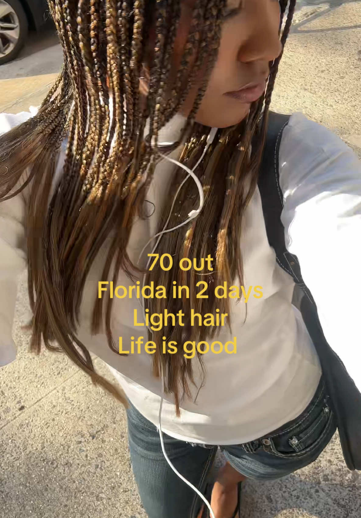@analislora