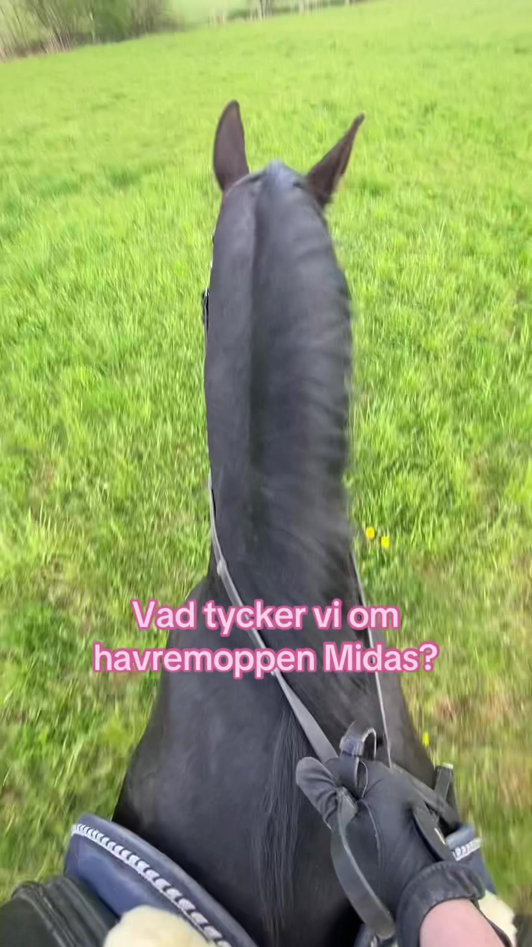 @Tuva Zettergren