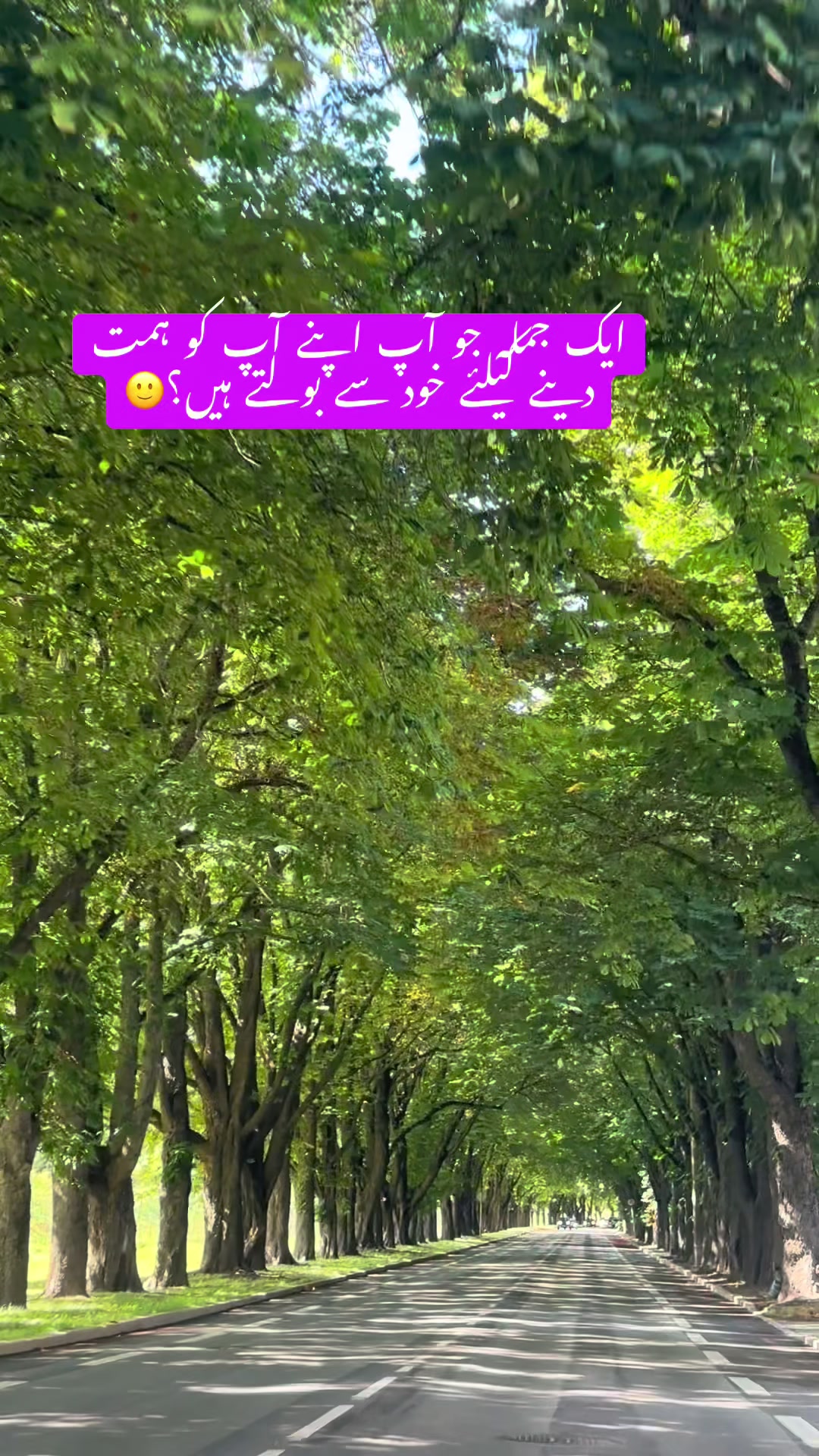 @Hassan ki Mama