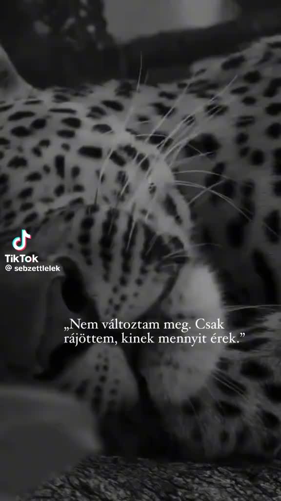 @én vagyok az ör agyalod