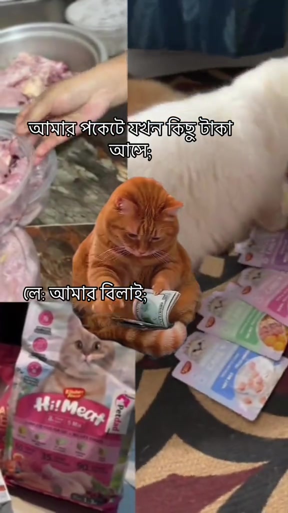 @🐇🐰elma... nohayet 🐈😸