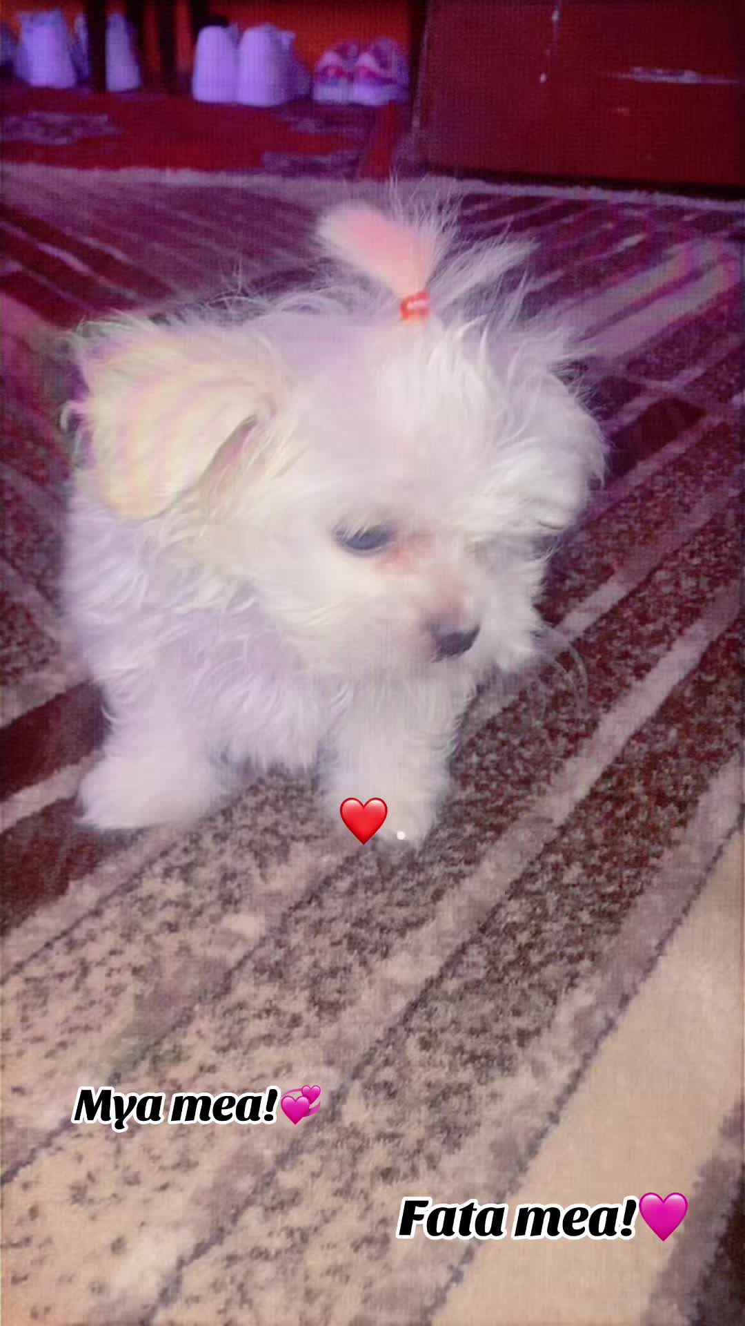 @🤍~ماريان<🔐<فلوري ~❤️&zwj;🔥