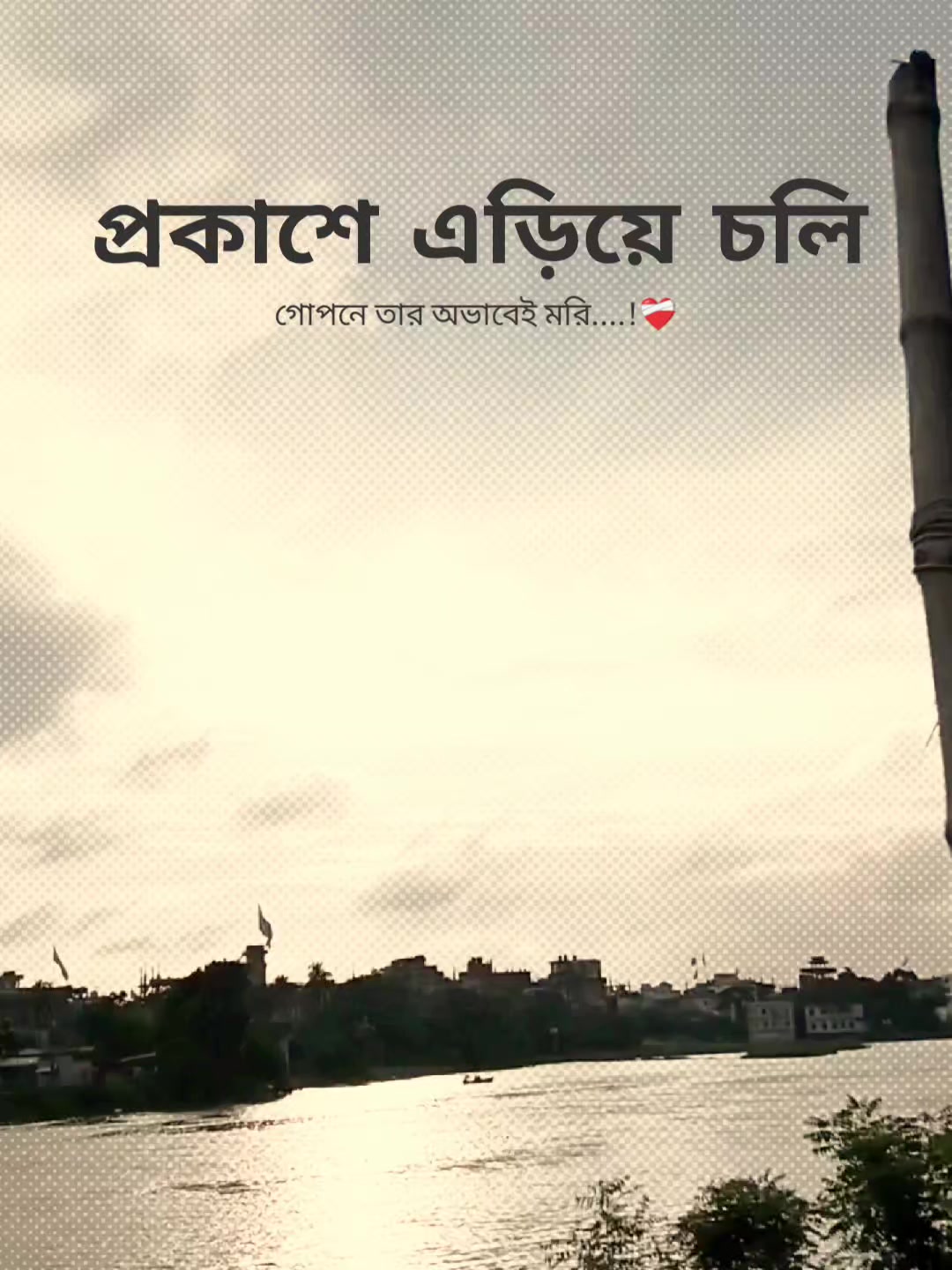 @꧁⭑শেষ পৃষ্ঠা⭑꧂