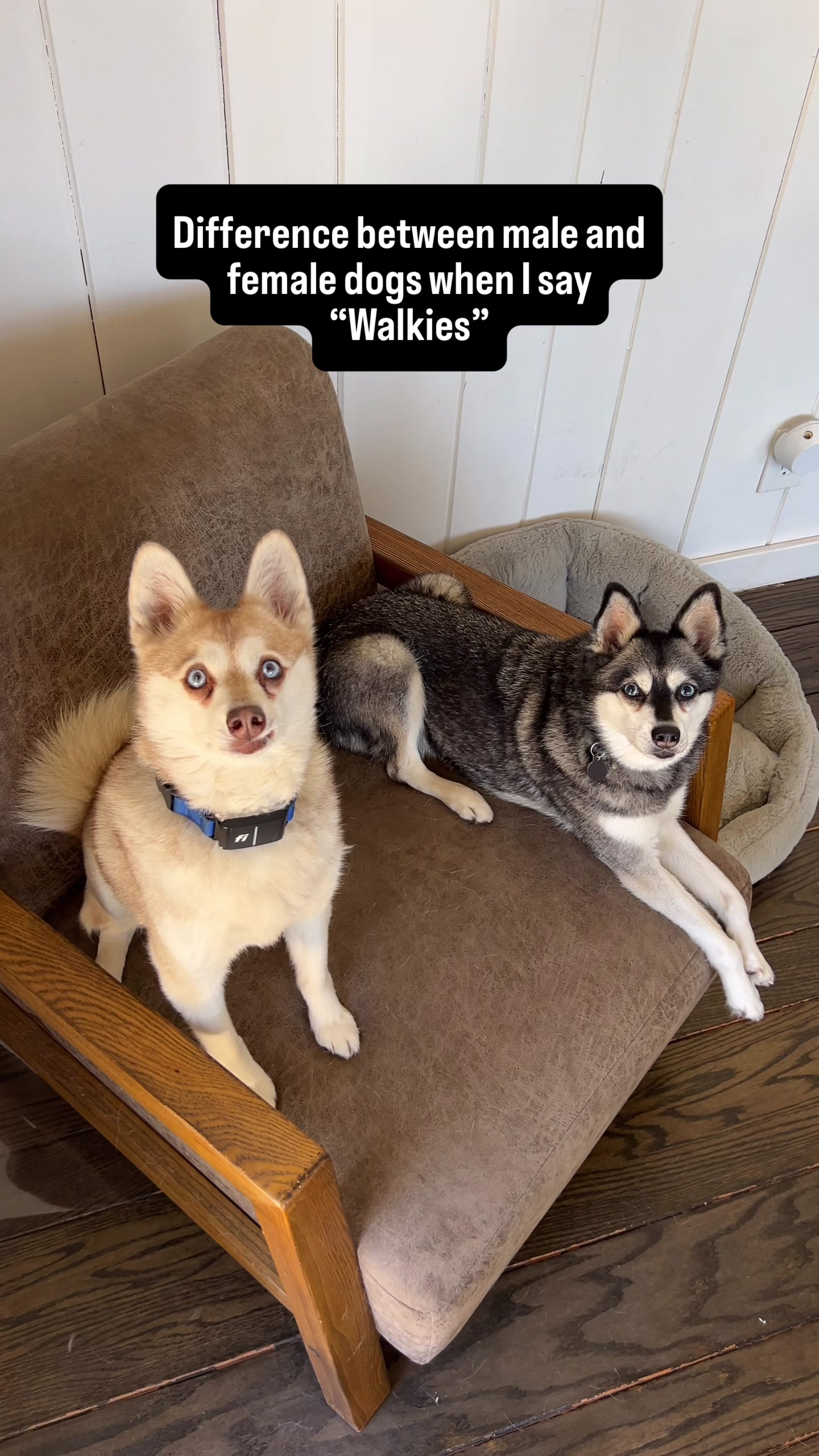 @lifewithkleekai