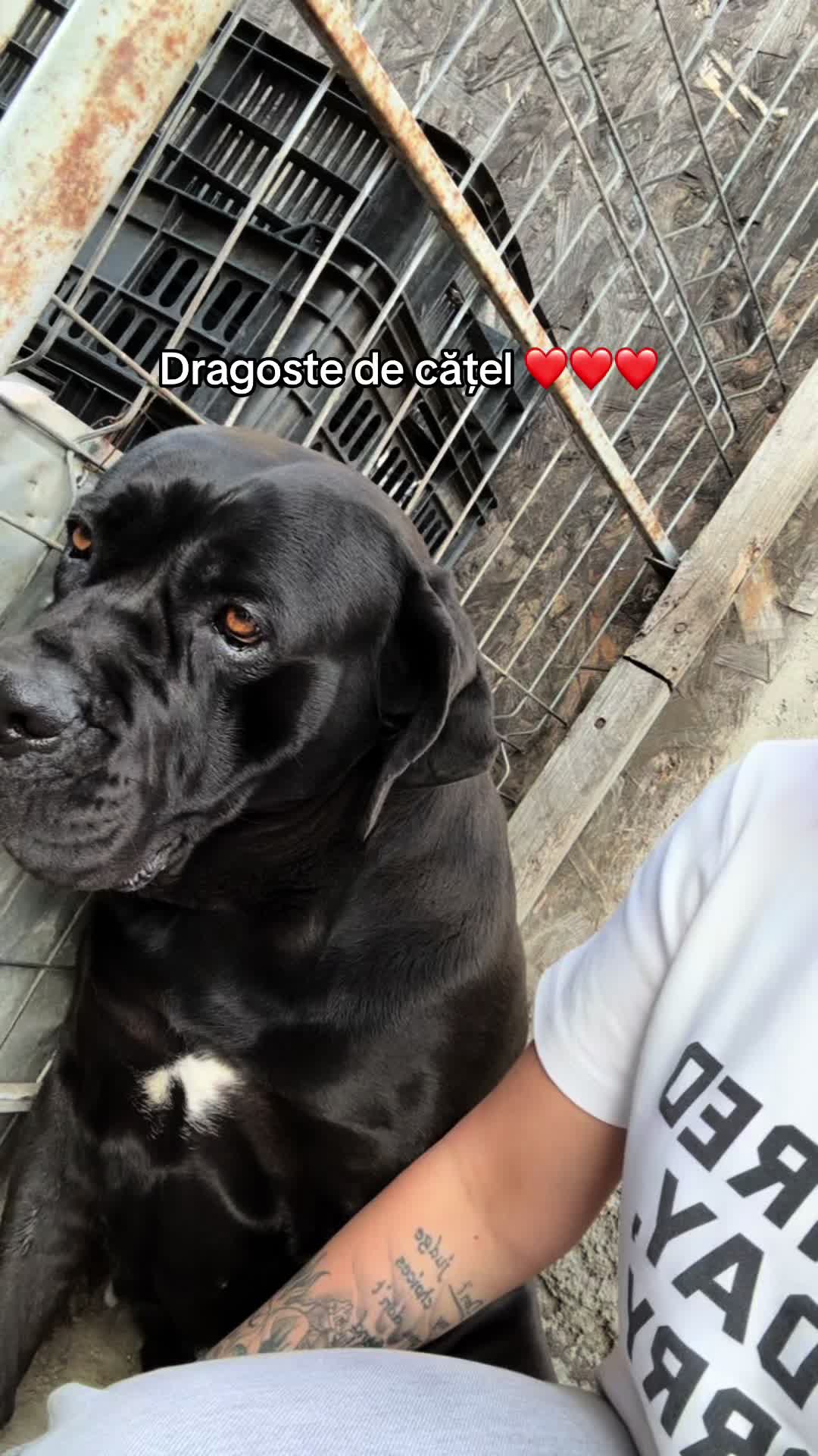 @Ralu