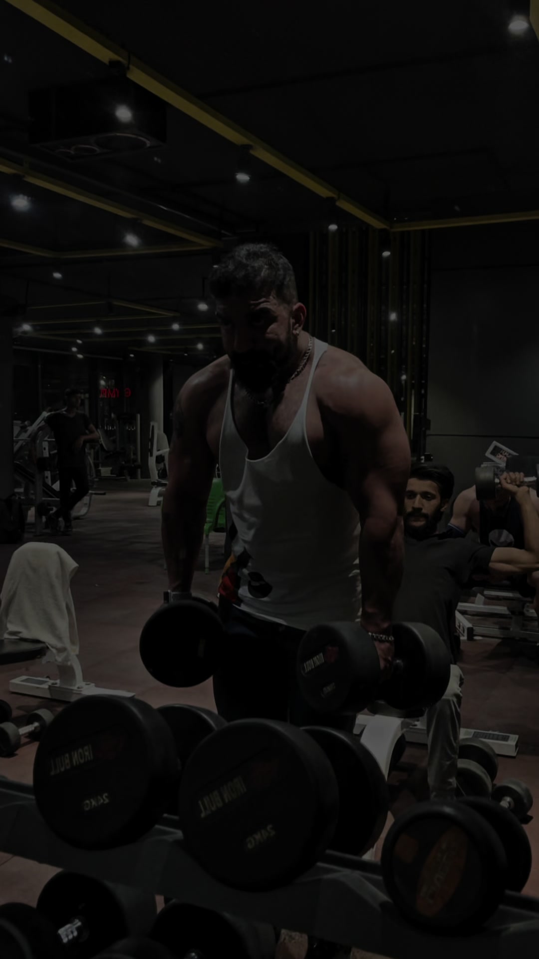 @Gabbar 🕊️🐺