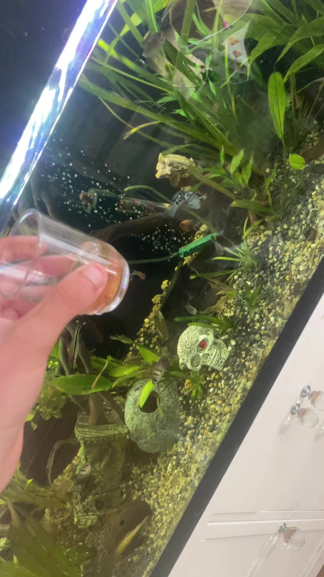 @CRBaquatics