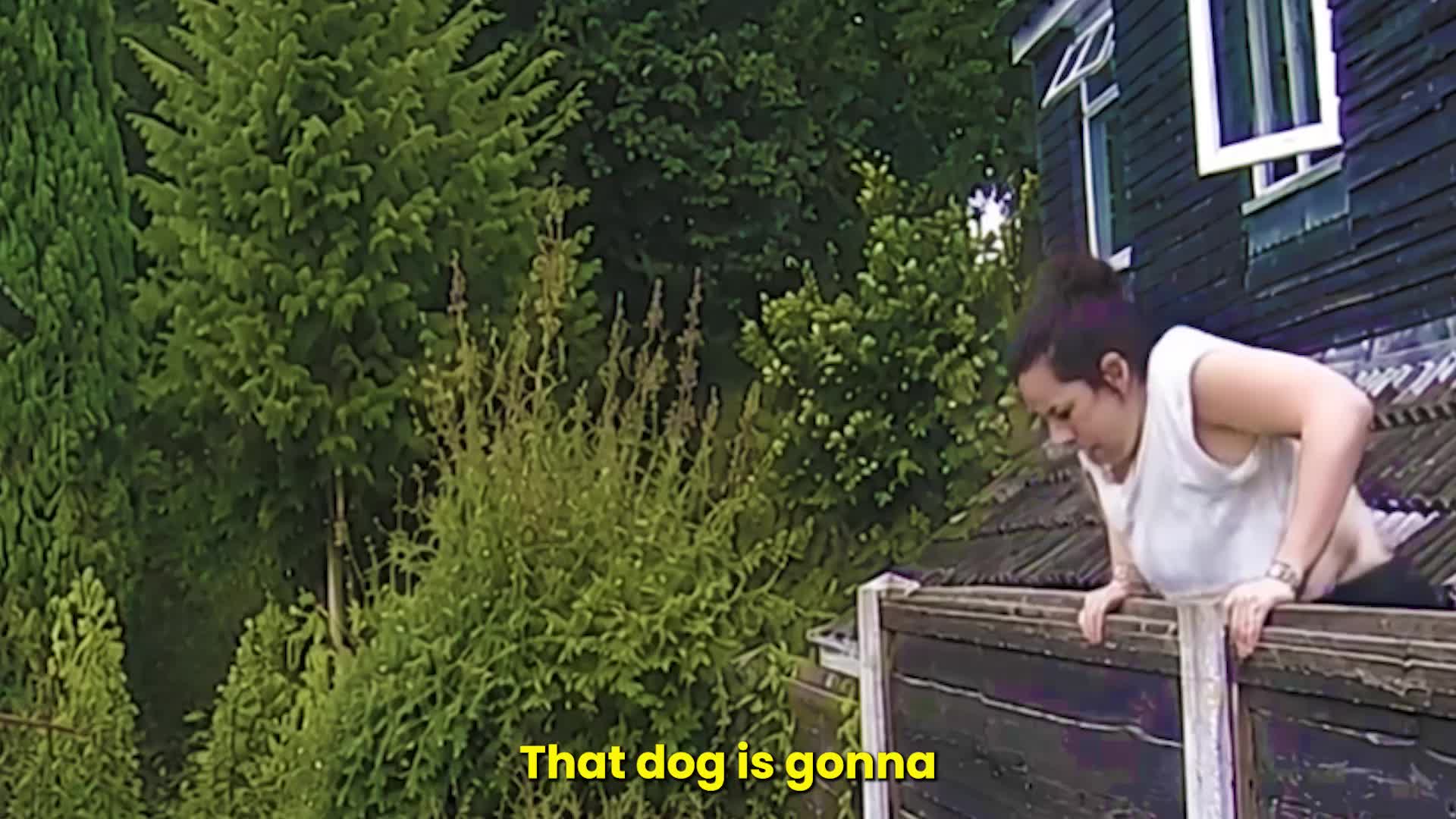 @Go Fetch