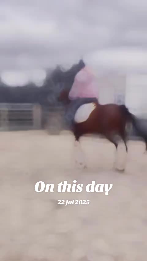 @WanderingWithWoody
