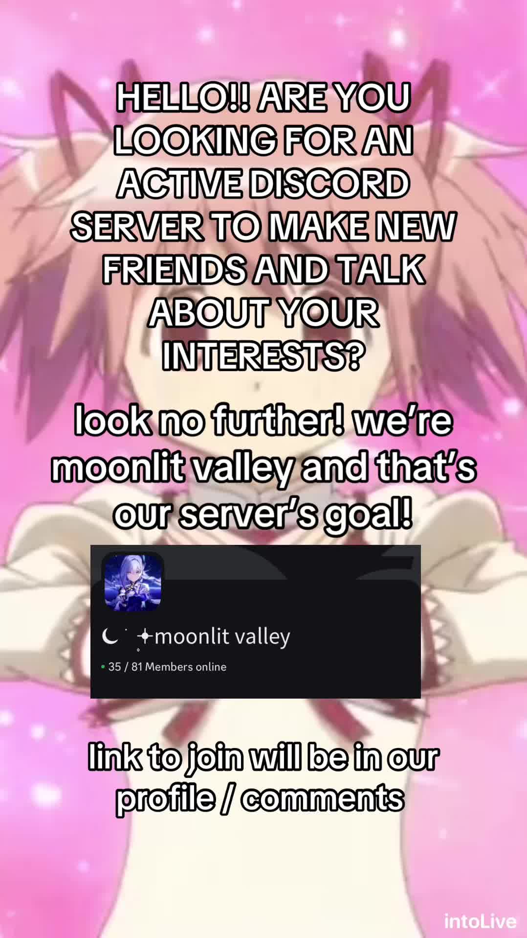 @✶⋆.˚ moonlit valley dc