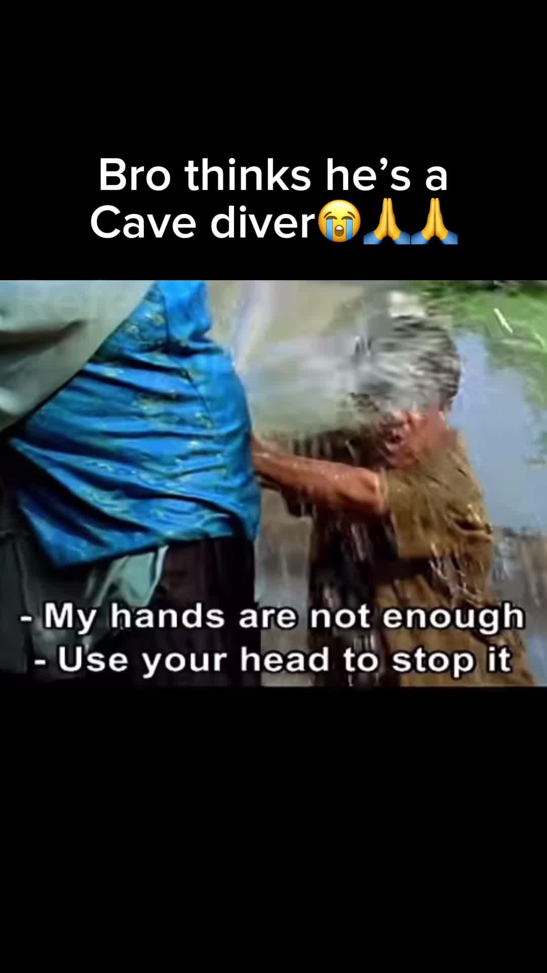 @REfEx