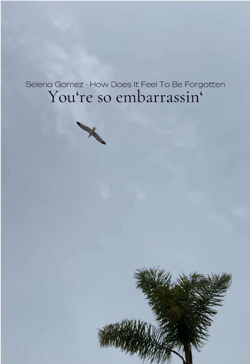 @Meaningfulsongs