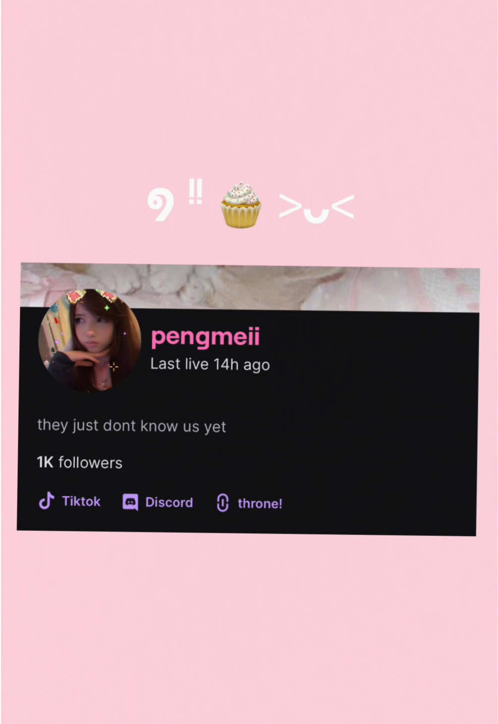 @pengmeii┃twitch