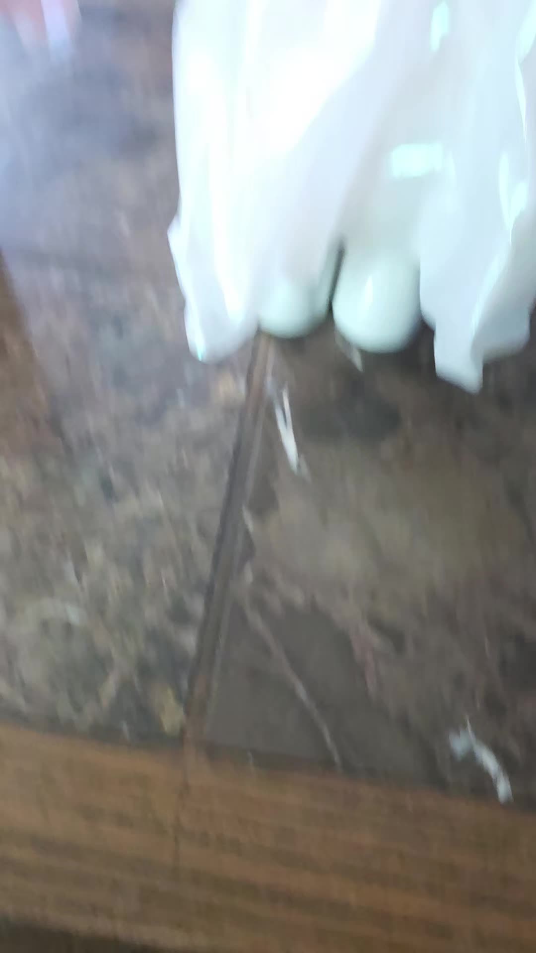 @aliciaann22